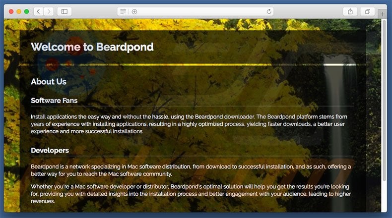 Dubious website used to promote search.beardpond.com