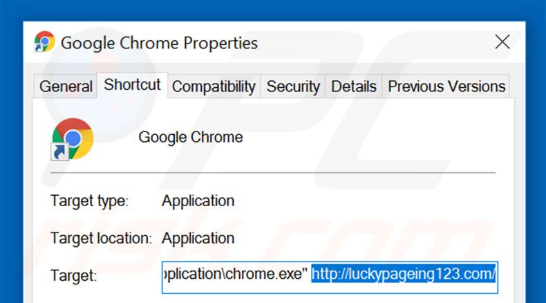 Removing luckypageing123.com from Google Chrome shortcut target step 2