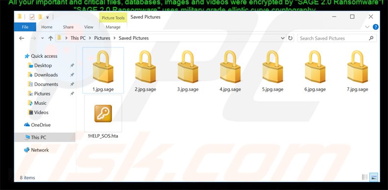 sage 2.0 encrypted files lock icon