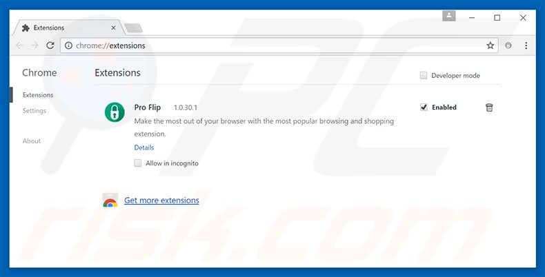 Removing Pro Flip ads from Google Chrome step 2