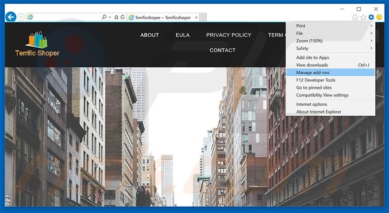 Removing Terrific Shopper ads from Internet Explorer step 1