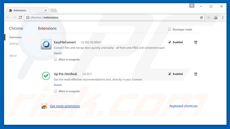 Removing search.downloaderpro.online related Google Chrome extensions
