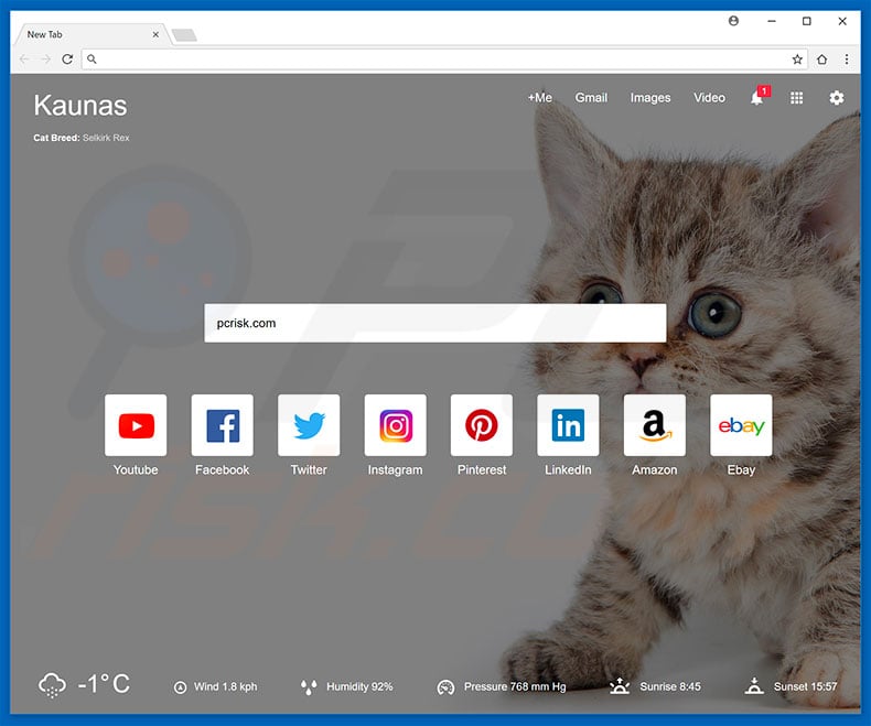 catstart.com browser hijacker