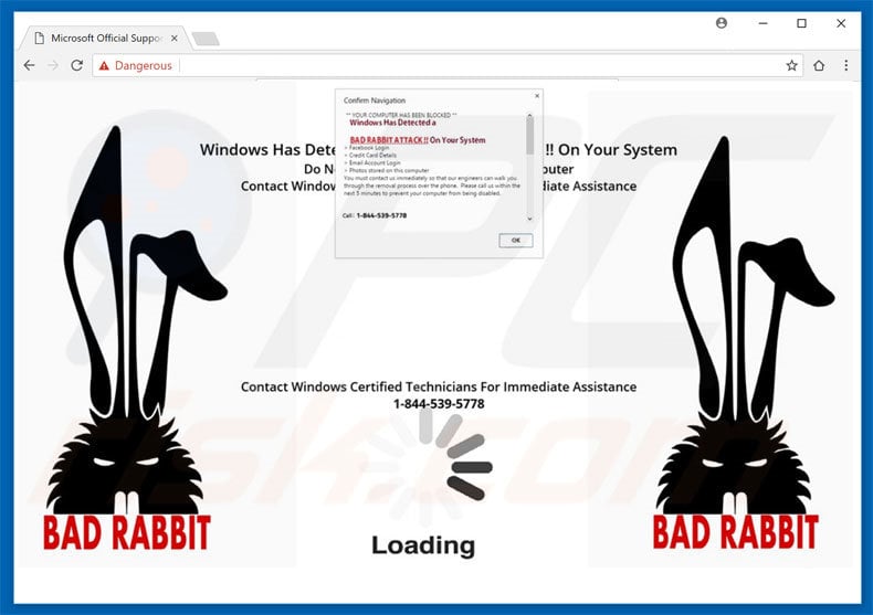 Bad Rabbit Attack adware