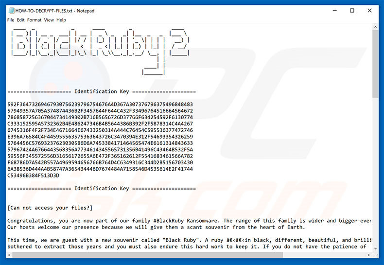 BlackRuby2 decrypt instructions