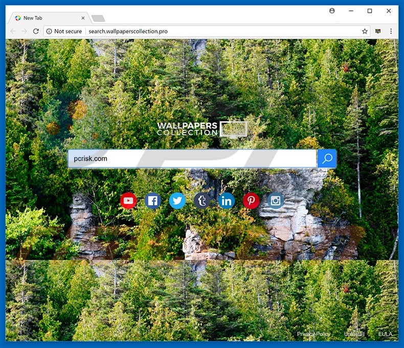 search.wallpaperscollection.pro browser hijacker