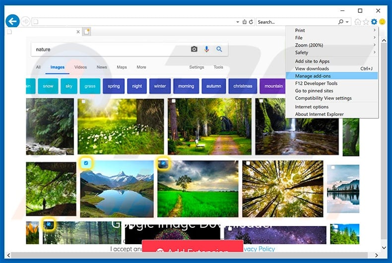 Removing Google Image Downloader ads from Internet Explorer step 1
