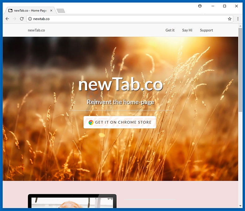 Website used to promote newTab.co browser hijacker