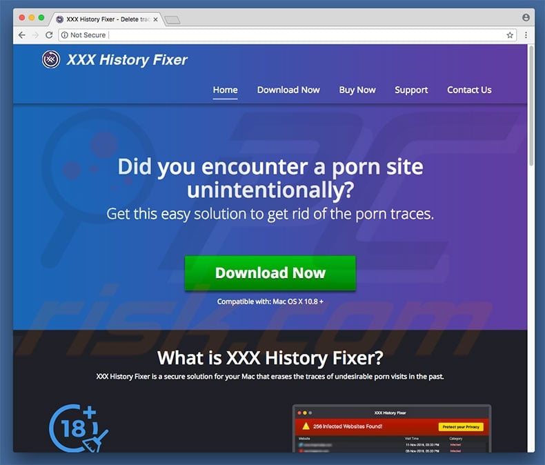 XXX History Fixer unwanted application