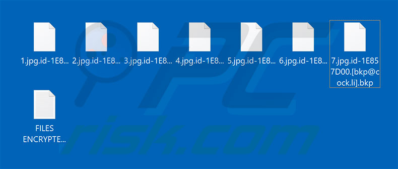 Files encrypted by bkp