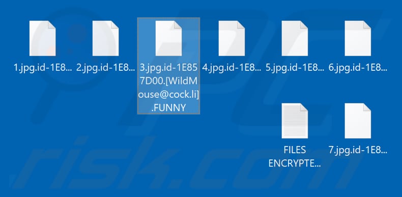Files encrypted by FUNNY