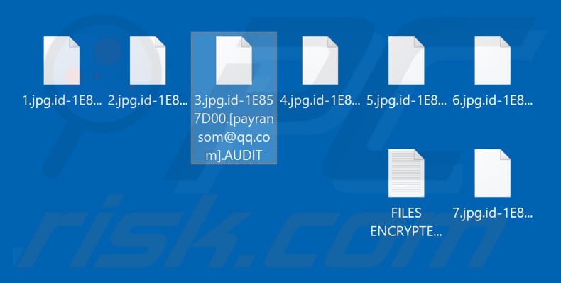 Files encrypted by AUDIT ransomware (.AUDIT extension)