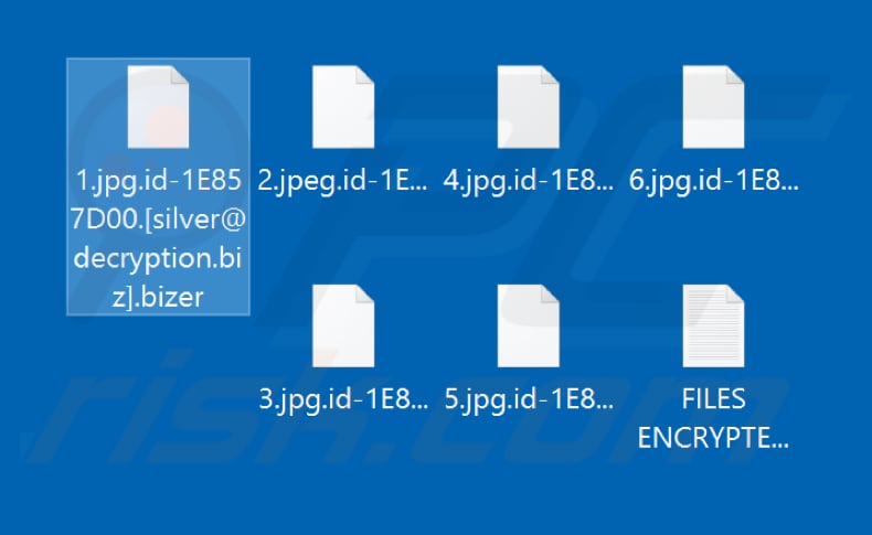 Files encrypted by Bizer