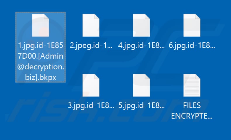 Files encrypted by Bkpx