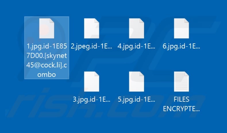 Files encrypted by Combo (.combo extension)