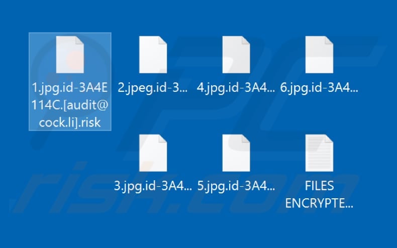 Files encrypted by Risk