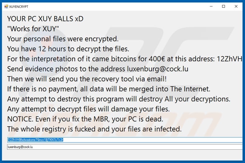 XUY decrypt instructions