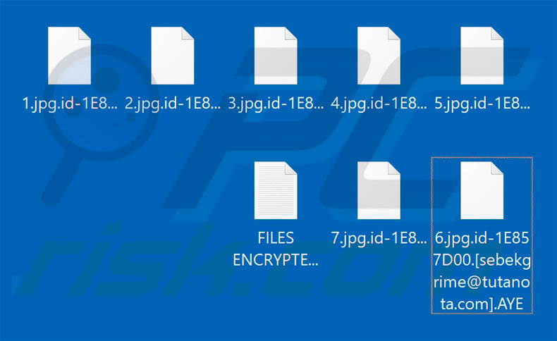 Files encrypted by AYE