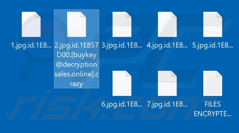 crazy crypt ransomware 4.1 encrypted files