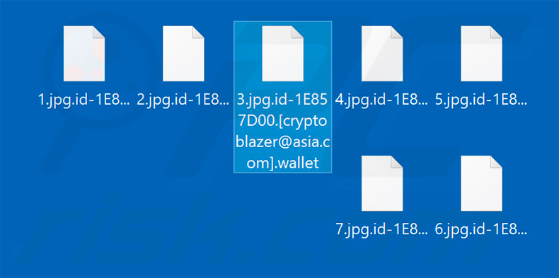 Files encrypted by the new variant of Wallet ransomware