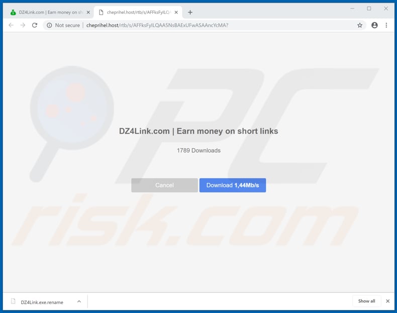 website opened by dz4link.com encouraging to download a questionable file