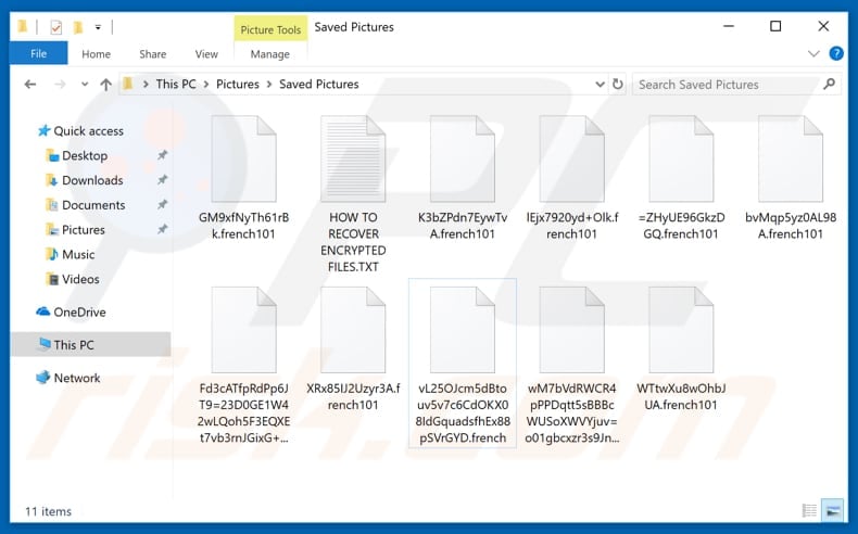 Files encrypted by French101