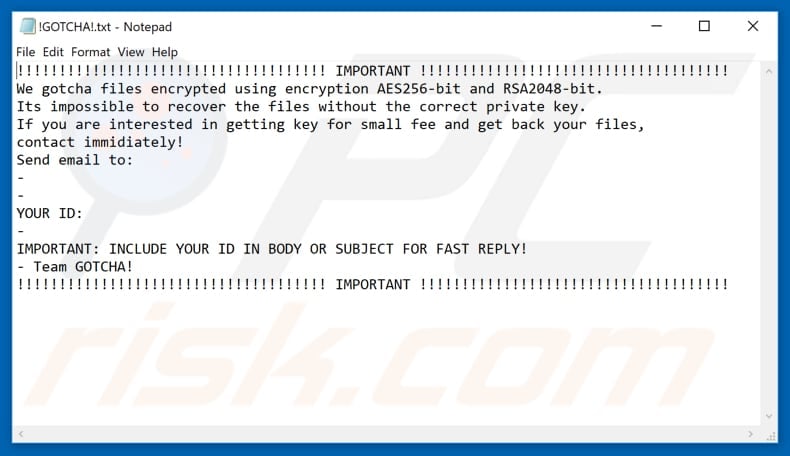 Gotcha decrypt instructions