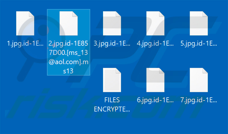 Files encrypted by ms13