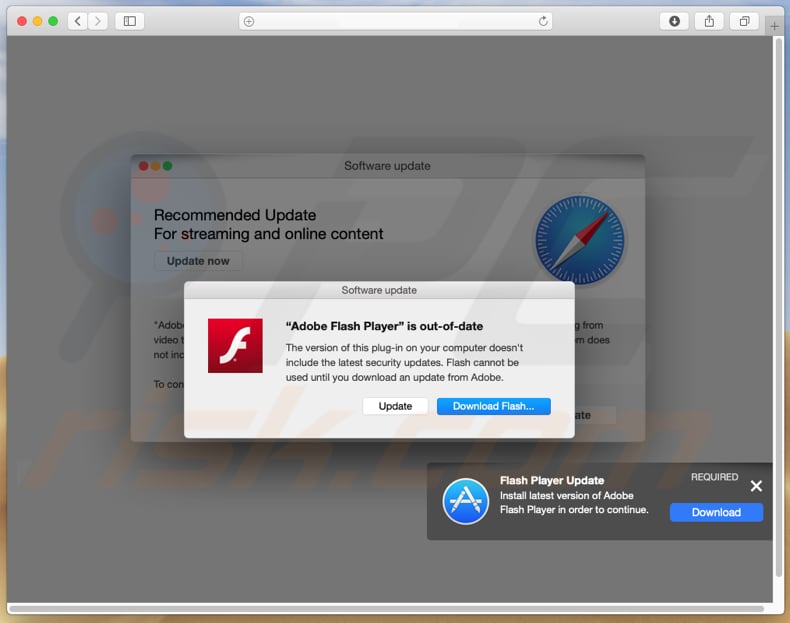 download latest version of adobe flash player