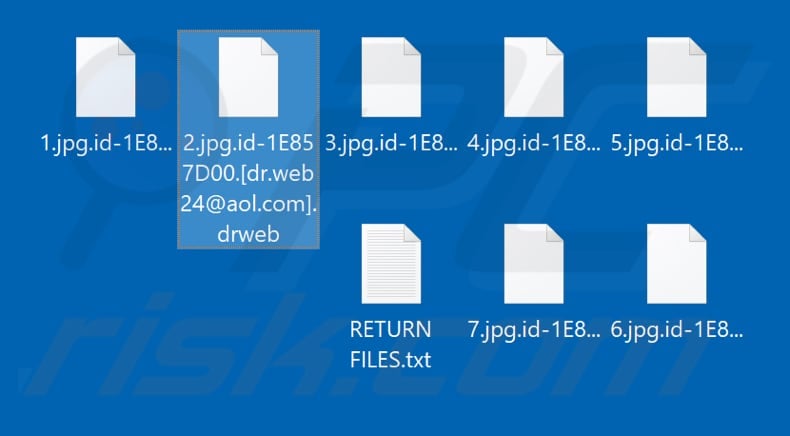 Files encrypted by DrWeb