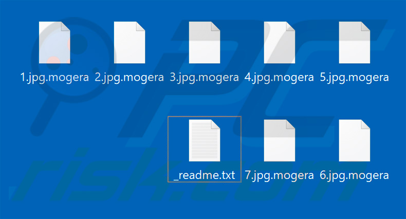 Files encrypted by Mogera (.mogera extension)