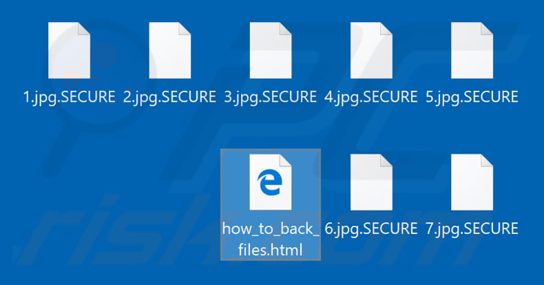 Files encrypted by SECURE