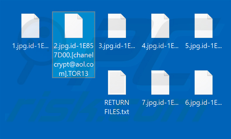 Files encrypted by TOR13