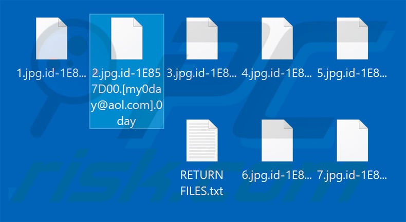 Files encrypted by 0day