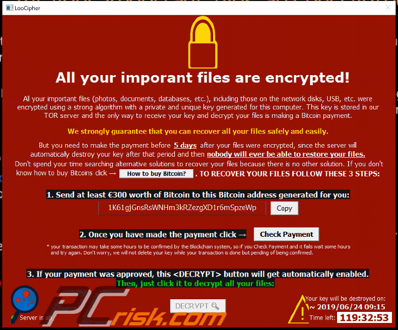 appearance of loocipher ransomware in gif