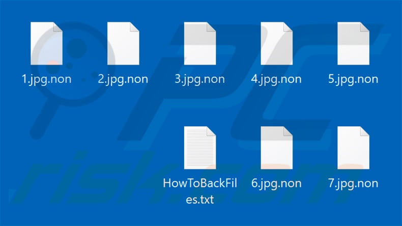 Files encrypted by Non ransomware (.non extension)