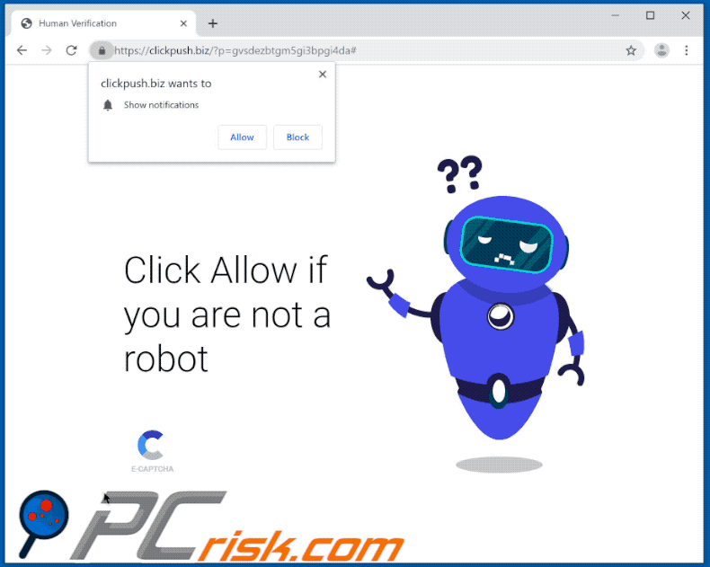 clickpush[.]biz website appearance (GIF)