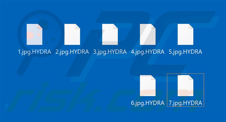 Files encrypted by HYDRA (.HYDRA extension)