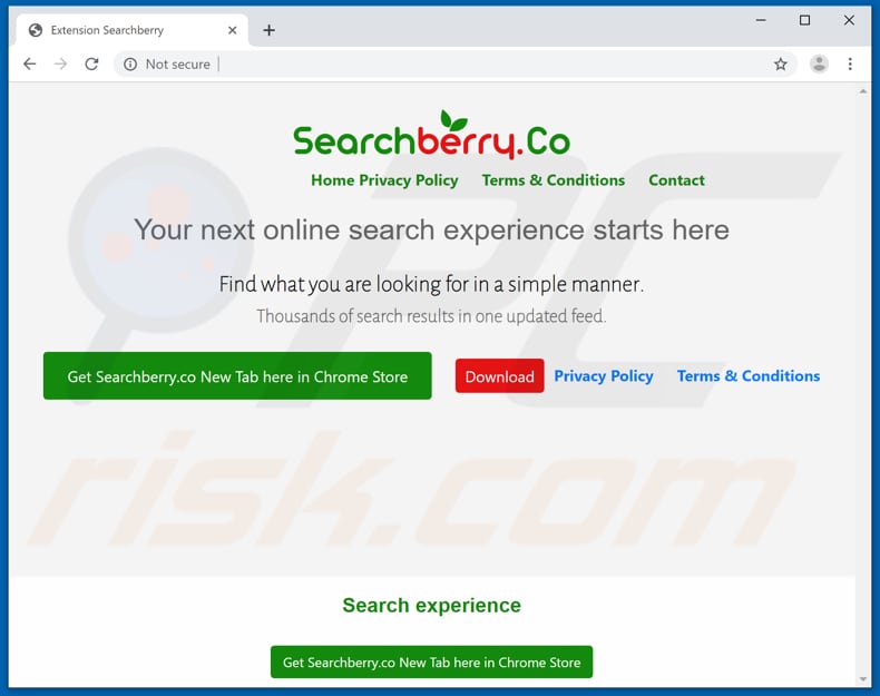 Website used to promote Searchberry Home Page browser hijacker
