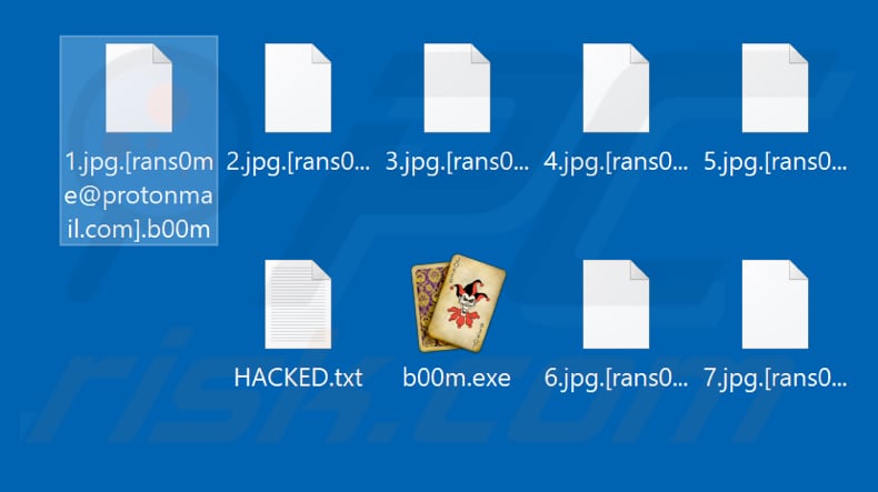 Files encrypted by b00m