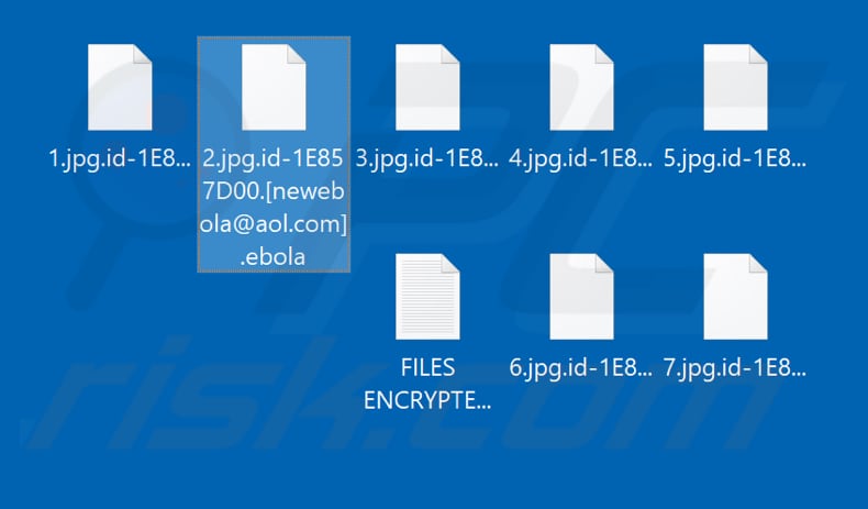 Files encrypted by Ebola