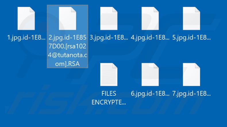 Files encrypted by RSA
