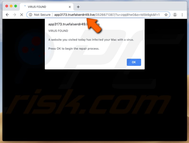 Truefalserdr scam