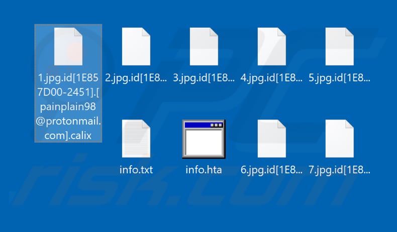 Files encrypted by Calix (.calix extension)