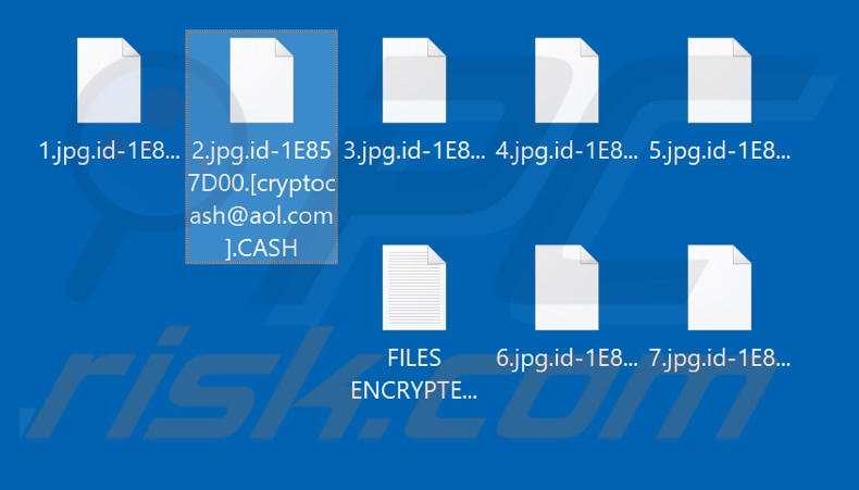 Files encrypted by CASH