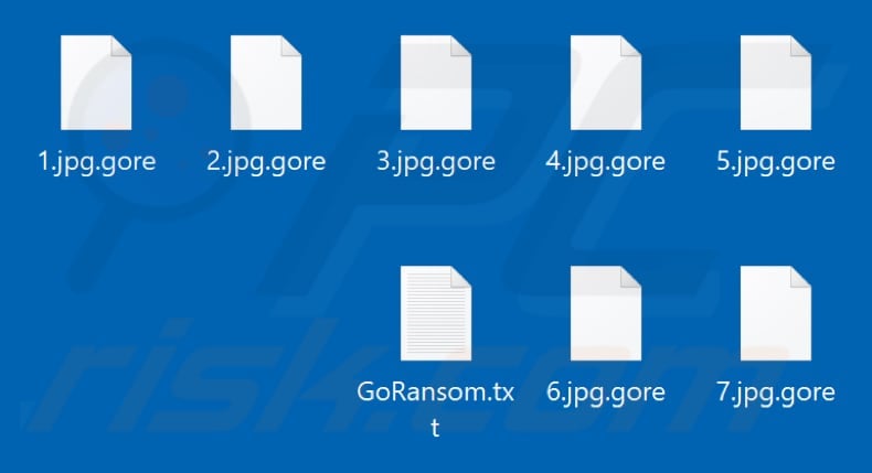 Files encrypted by GoRansom PoC