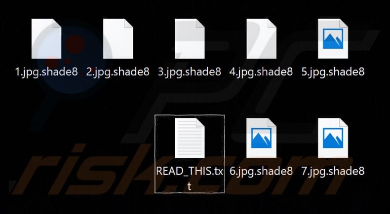 Files encrypted by shade8