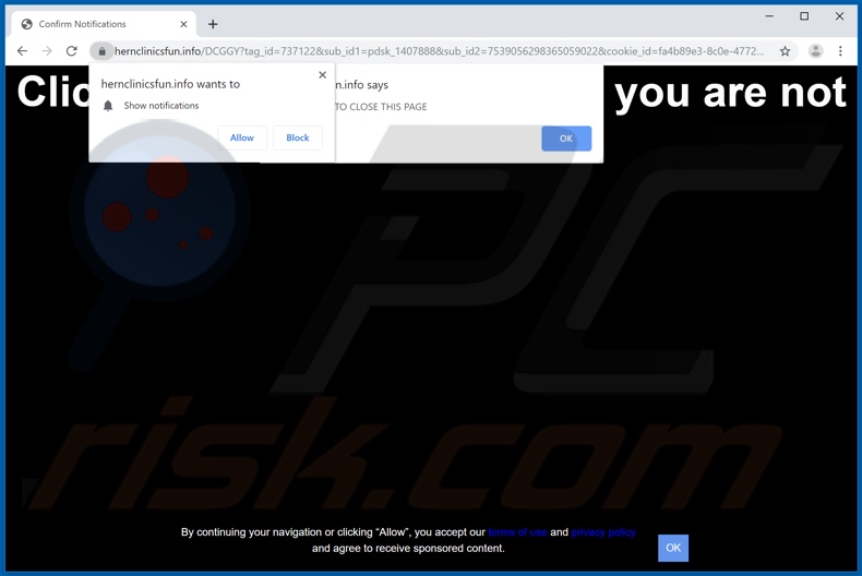 hernclinicsfun[.]info pop-up redirects
