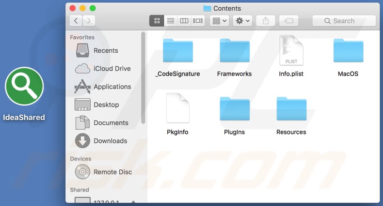 IdeaShared folder and its files