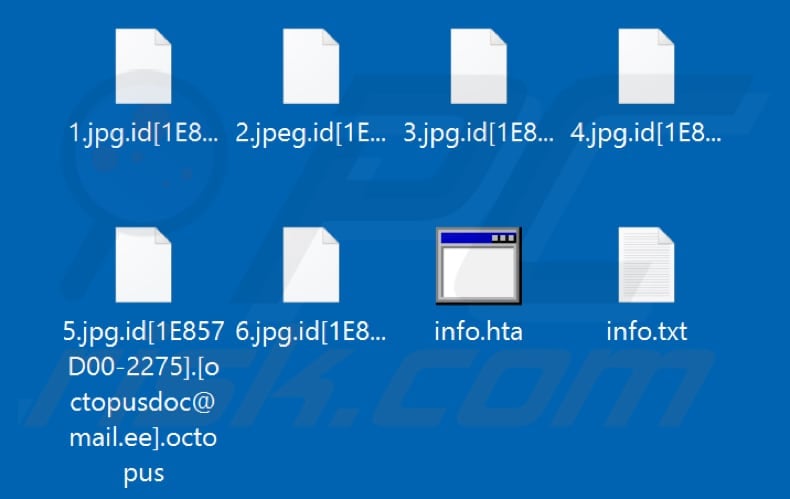 Files encrypted by Octopus